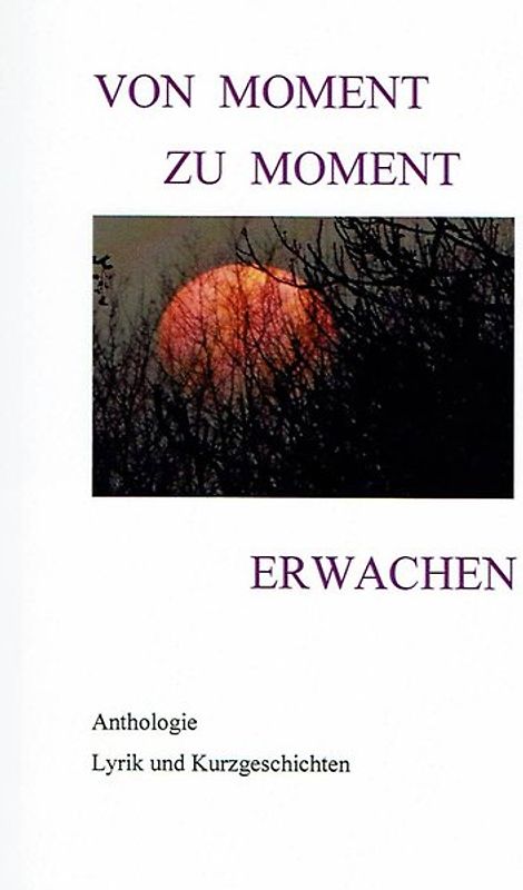 Von Moment zu Moment Erwachen