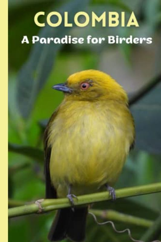 Colombia: A paradise for birders: Stunning birds of the Andes: Hummingbirds, hawks, owls, tanagers, ducks, guans, woodpeckers, manakins, euphonias, quetzals and more. Bird Lovers