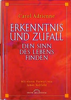 Erkenntnis und Zufall. Den Sinn des Lebens finden