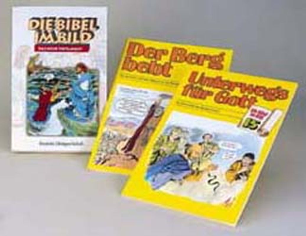 Die Bibel im Bild