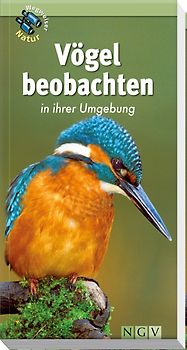 Vögel beobachten in ihrer Umgebung