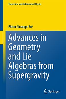 Advances in Geometry and Lie Algebras from Supergravity