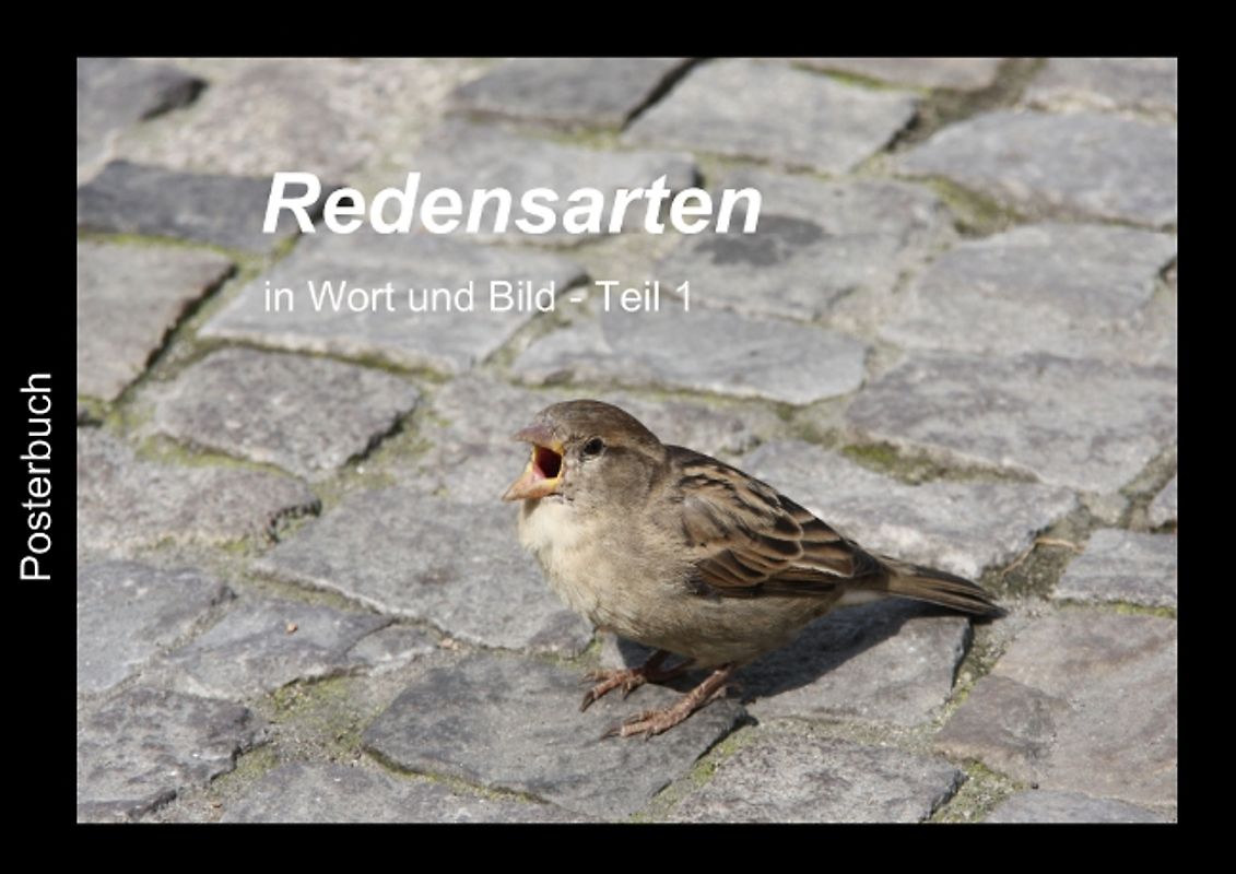 Redensarten in Wort und Bild - Teil 1 (Posterbuch DIN A4 quer)