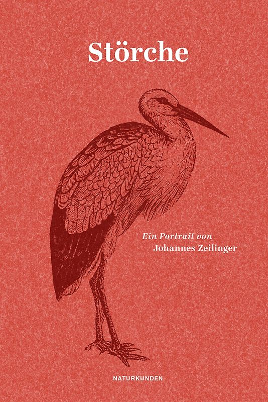 Störche