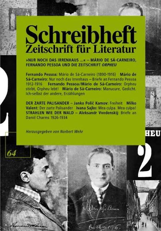 Nur noch das Irrenhaus