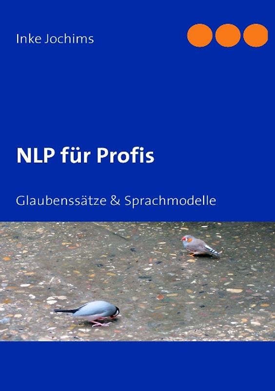 NLP für Profis