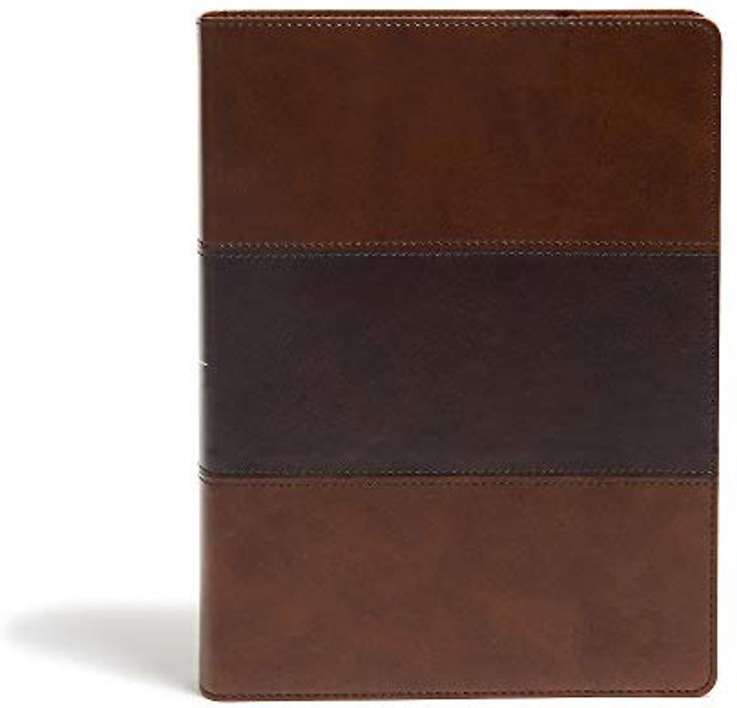 KJV Study Bible, Full-Color, Saddle Brown Leathertouch