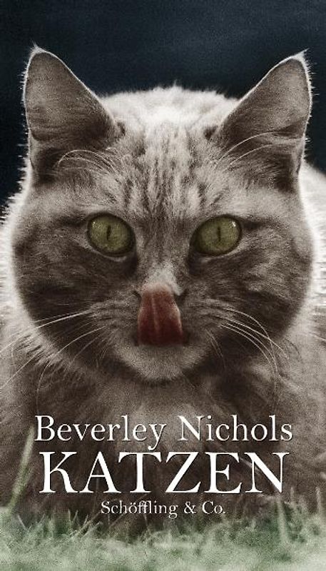 Katzen (Gebundene Ausgabe)
