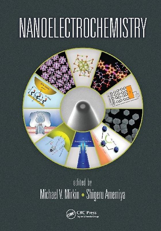 Nanoelectrochemistry