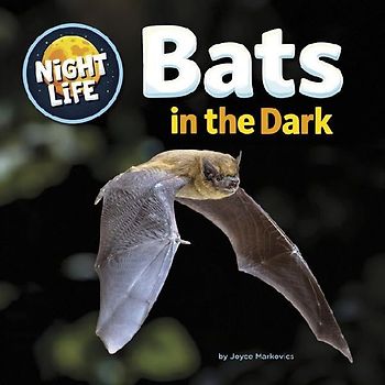 Bats in the Dark