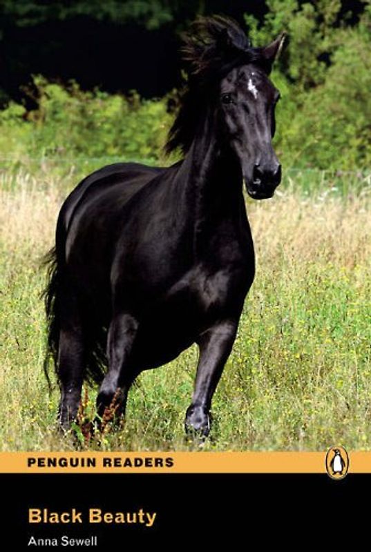 Level 2: Black Beauty