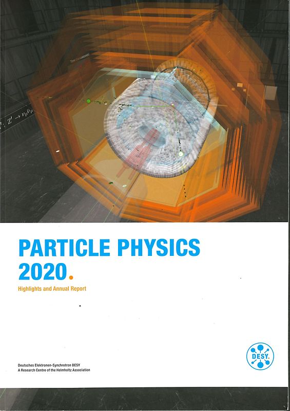 Particle Physics 2020