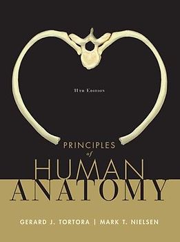 Principles of Human Anatomy