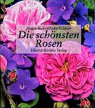 Die schönsten Rosen