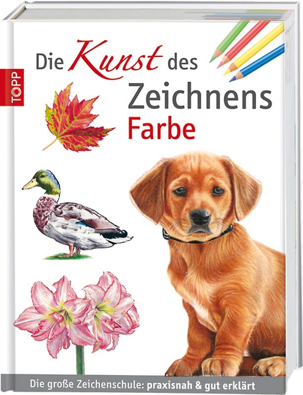 Die Kunst des Zeichnens Farbe