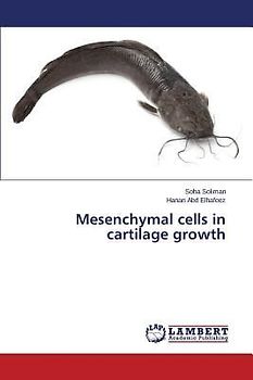 Mesenchymal cells in cartilage growth