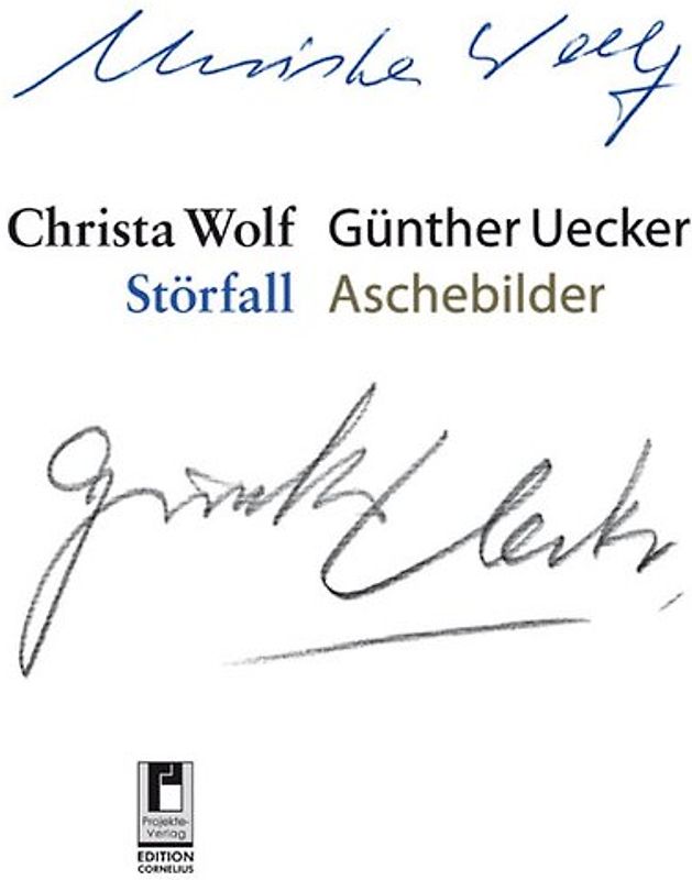 Störfall Aschebilder