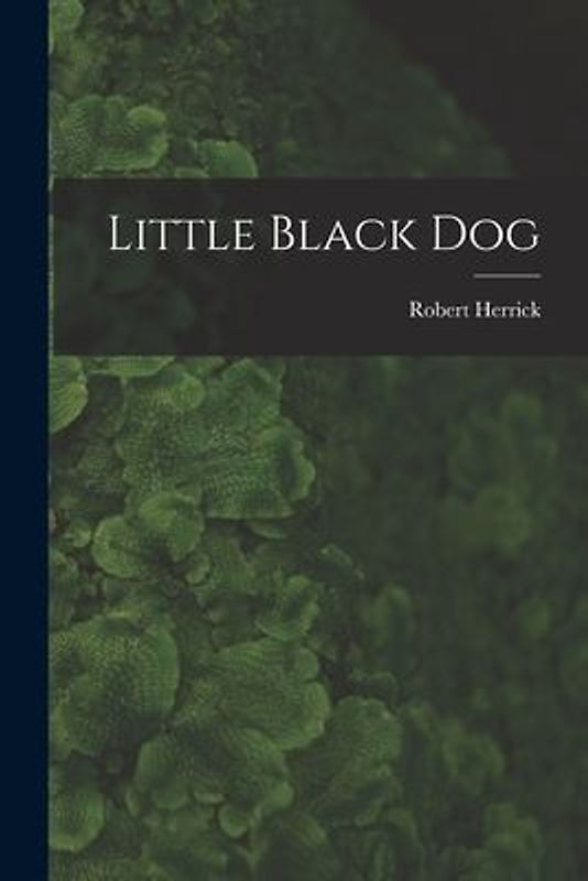 Little Black Dog