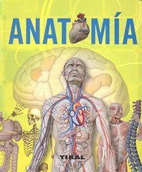 Anatomía