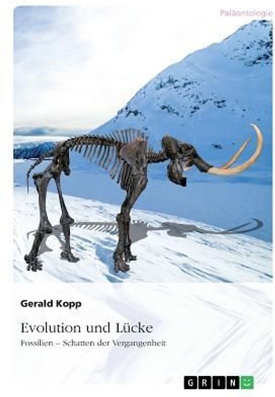 Evolution und Lücke