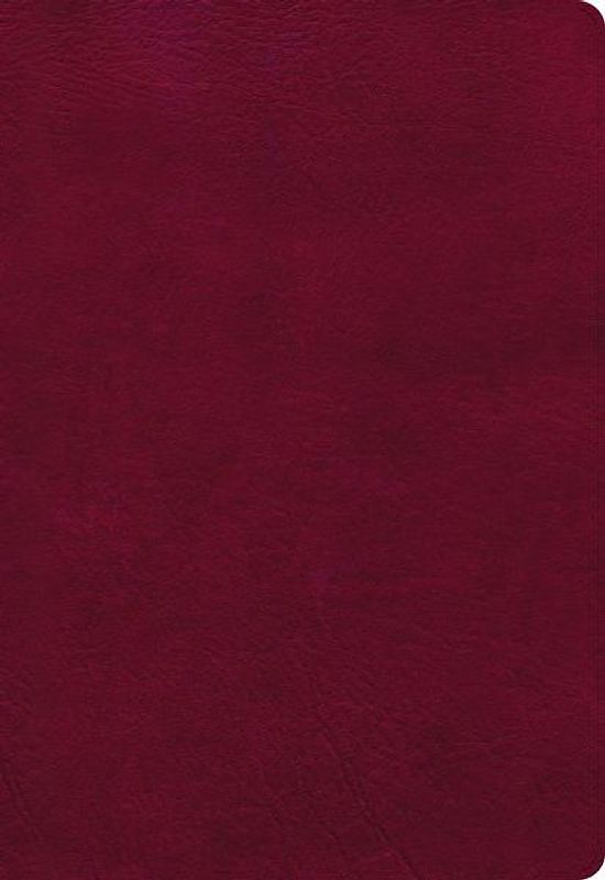 NASB Super Giant Print Reference Bible, Burgundy Leathertouch