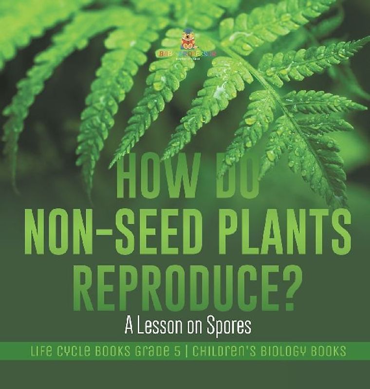 How Do Non-Seed Plants Reproduce? A Lesson on Spores | Life Cycle Books Grade 5 | Children's Biology Books