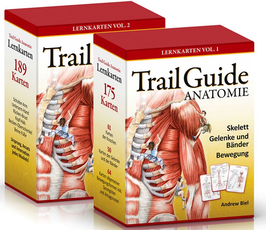 Trail Guide Anatomie