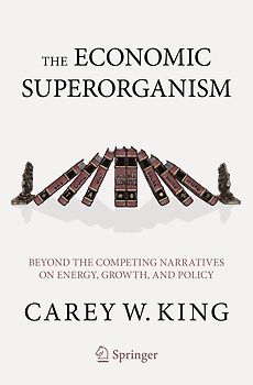 The Economic Superorganism