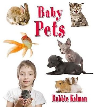 Baby Pets