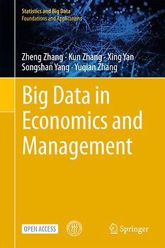 Big Data in Economics and Management