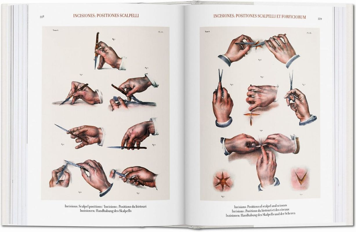 Bourgery. Atlas de anatomía humana y cirugía