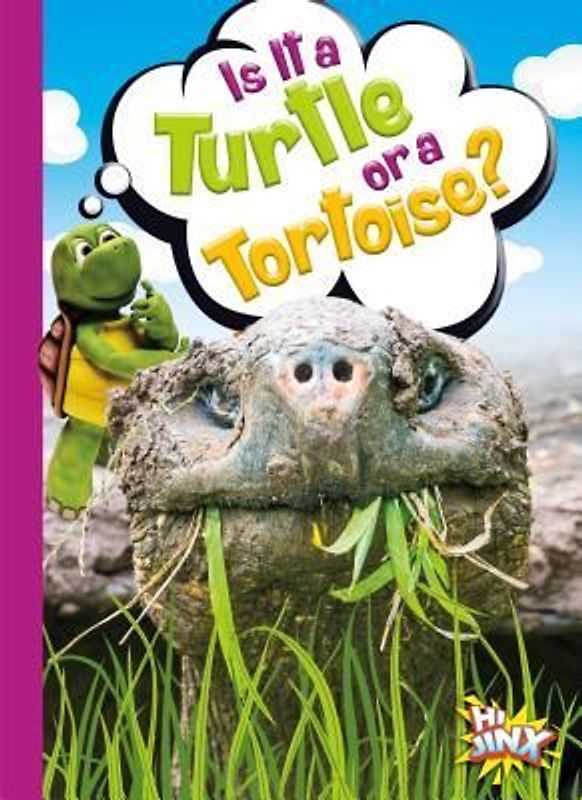 Is It a Turtle or a Tortoise?