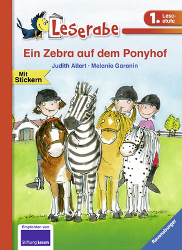 Ein Zebra auf dem Ponyhof
