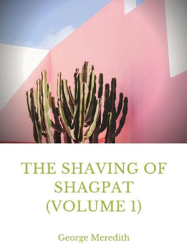 The Shaving of Shagpat (volume 1)