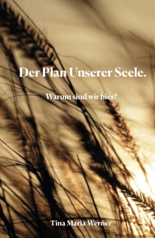 Der Plan Unserer Seele: Warum sind wir hier?