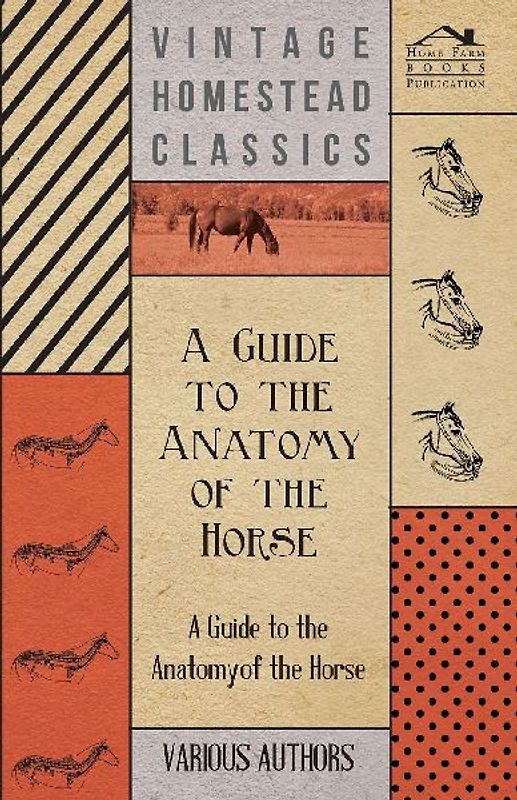 A   Guide to the Anatomy of the Horse - A Collection of Historical Articles on the Skeleton, Hoof, Teeth, Locomotion and Other Aspects of Equine Anato