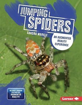 Jumping Spiders