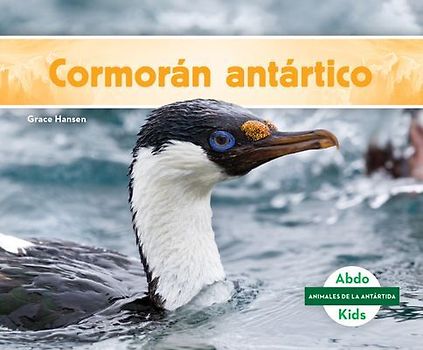 Cormoran Antartico (Antarctic Shag)