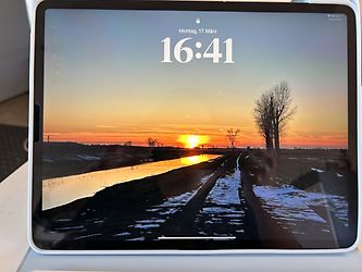 Image client pour Apple iPad Pro 12,9" 256 Go [Wifi + Cellular, modèle 2020] gris sidéral