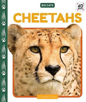 Cheetahs