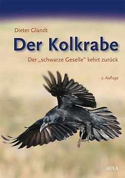 Der Kolkrabe