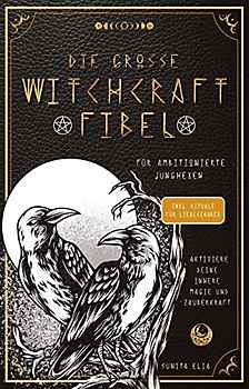 Die große Witchcraft Fibel für ambitionierte Junghexen: Aktiviere deine innere Magie und Zauberkraft! inkl. Rituale für Liebeszauber und ... mit Tarotkarten, die Runen und Heilsteine!