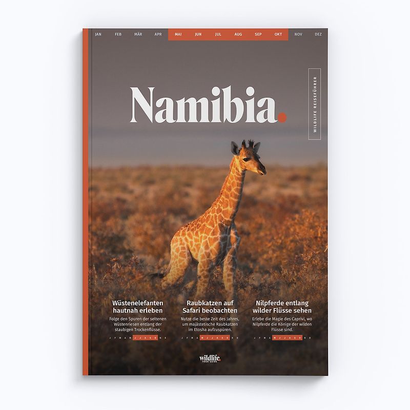 Reiseführer Namibia