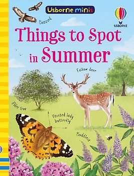Things to Spot in Summer