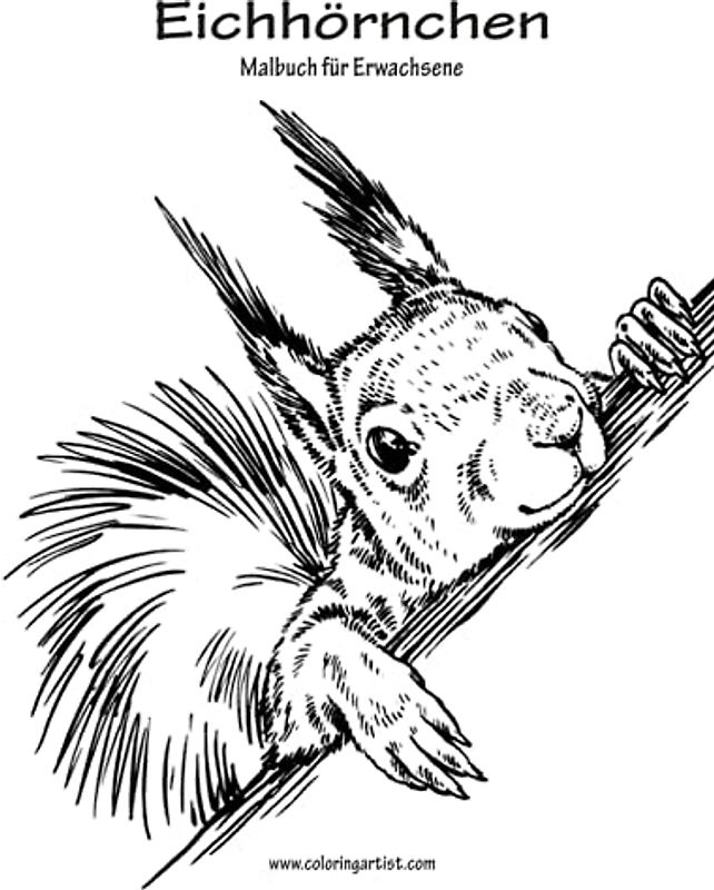 Eichhörnchen-Malbuch für Erwachsene 1