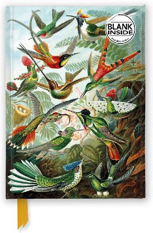 Ernst Haeckel: Hummingbirds (Foiled Blank Journal)