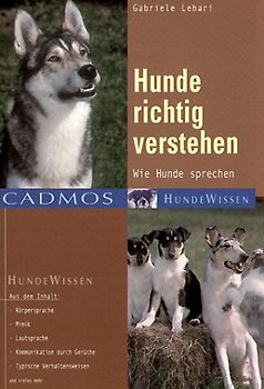 Hunde richtig verstehen