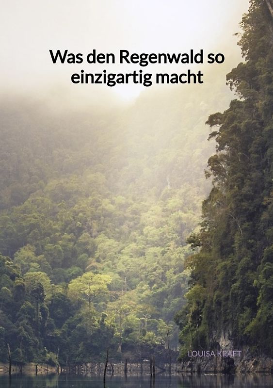 Was den Regenwald so einzigartig macht