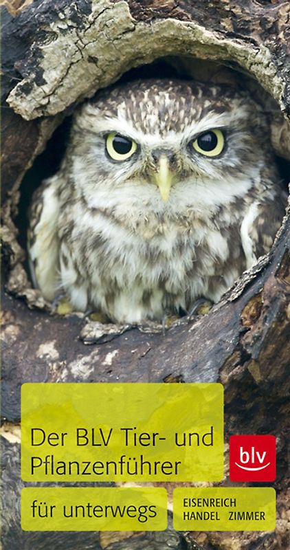 Der BLV Tier- und Pflanzenführer