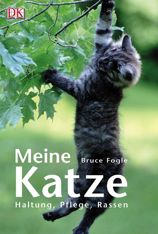 Meine Katze